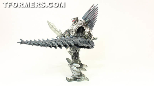 TF4 Dinobots Platinum Edition Unleashed Shared BBTS Exclusive 5 Pack  (36 of 87)